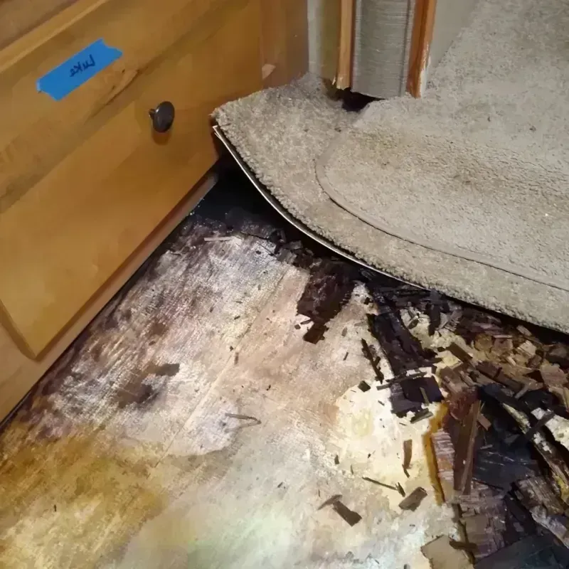 Wood Floor Water Damage in Diamond Springs, CA